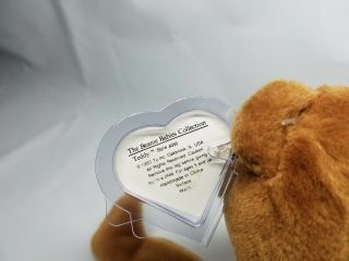 Authentic Ty Beanie Baby Old Face OF Brown Teddy Rare 1st/1st Gen Canadian MWNMT 3