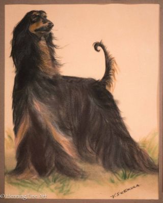 Vintage Pastel / Watercolor Painting Of Black Afghan Hound,  Signed " V.  Szekula "