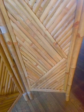 Vintage Mid Century Modern Bamboo Floor Screen Room Divider 48” X 64” 5