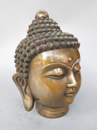 Chinese pure brass sakyamuni Buddha head statue 6