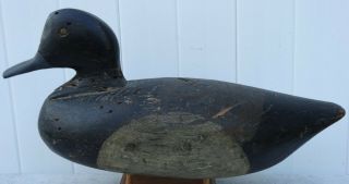 Antique Vintage Long Island Li York Ny Branded Broadbill Bluebill Duck Decoy
