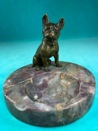 Outstanding Antique Austrian Bronze Boston Terrier Or French Bulldog,  Gorgeous