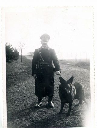 German Photo Ww2 Man In Uniform With Dog Wwii 838