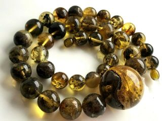 Natural Vintage Amber Beads Antique Baltic Old Necklace 62.  39 Gr