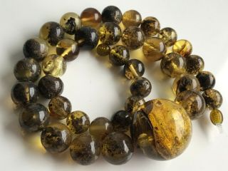 Natural Vintage Amber Beads Antique Baltic Old Necklace 62.  39 gr 3