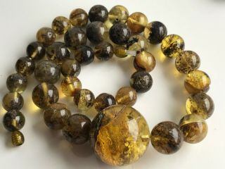 Natural Vintage Amber Beads Antique Baltic Old Necklace 62.  39 gr 8