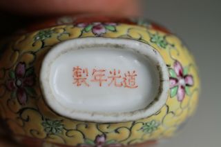 Antique Chinese 19th Century Daoguang Mark & Period Snuff Bottle Boy Boys Yellow 8
