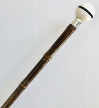 Lovely Solid Silver Tagua Nut Pommel & Bamboo Walking Stick Cane,  London 1883