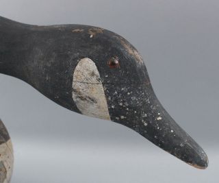 Antique Folk Art Carved & Painted Canadian Goose Decoy,  Feeding Position 10