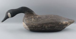 Antique Folk Art Carved & Painted Canadian Goose Decoy,  Feeding Position