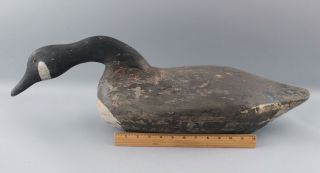 Antique Folk Art Carved & Painted Canadian Goose Decoy,  Feeding Position 2