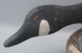 Antique Folk Art Carved & Painted Canadian Goose Decoy,  Feeding Position 3