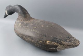 Antique Folk Art Carved & Painted Canadian Goose Decoy,  Feeding Position 5