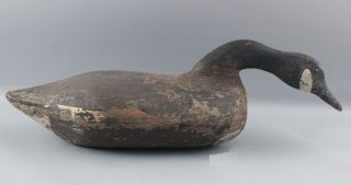 Antique Folk Art Carved & Painted Canadian Goose Decoy,  Feeding Position 6