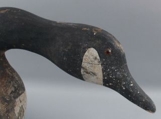 Antique Folk Art Carved & Painted Canadian Goose Decoy,  Feeding Position 9