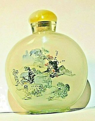 Antique Peking Glass Chinese Reverse Painted Snuff Bottle