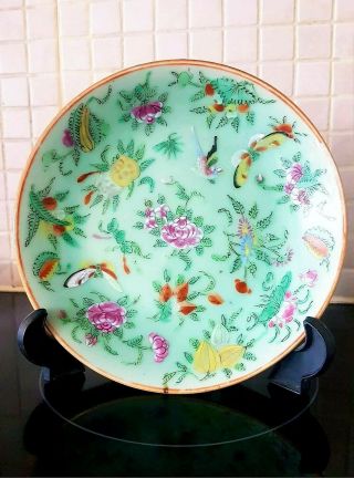 19th C.  Chinese Famile Rose Celadon Porcelain Butterflies & Birds Plate Signed
