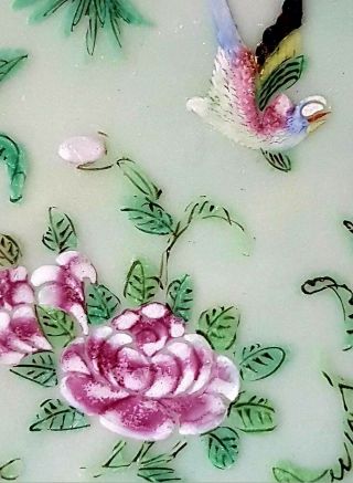 19th C.  CHINESE FAMILE ROSE CELADON PORCELAIN BUTTERFLIES & BIRDS PLATE Signed 3