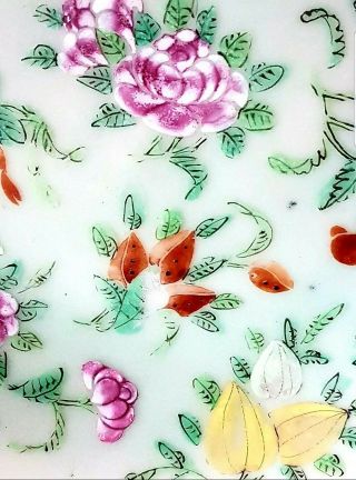 19th C.  CHINESE FAMILE ROSE CELADON PORCELAIN BUTTERFLIES & BIRDS PLATE Signed 5