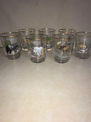 Vintage Set Of 7 Ned Smith Big Game Wildlife Gold Rim Rocks Glasses