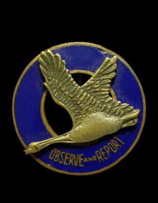 Pre Wwii Us Army Air Force / Corps 12th Observation Group Dui Di Insignia Pin