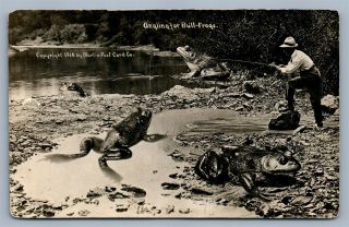 Bull Frog Fishing 1910 Exaggerated Antique Real Photo Postcard Rppc By Martin Co