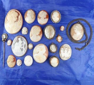 Quantity 21 Antique & Vintage Carved Shell Cameo Brooches,  Stick Pin & Plaques
