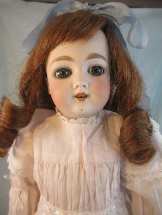 Antique German Bisque Handwerck Doll Composition Jointed Body 17 "