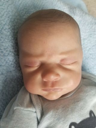 Reborn Baby Doll Jayden by Natalie Scholl,  painted by Nicole Russell Rare SOLE 4