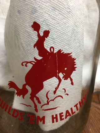 Vintage 1 Gallon Milk Bottle Adams Rawlins WYO Wyoming No Chips Or Cracks 4