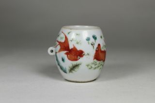 Antique Chinese 19th Century Qing Dynasty Porcelain Bird Feeder Goldfish Fish 5