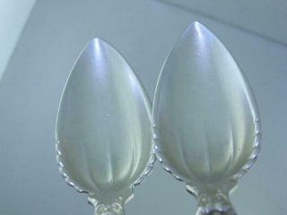 2 Sterling WHITING Fruit Orange Spoons LILY 1902 no mono 5