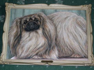 Antique Pekingese Dog Watercolour Painting K.  C.  Brown 1959 Peke " Ch Caversham "