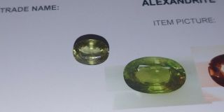 3.  09 Ct.  Certified Strong Color Change Alexandrite - Rare Gem - Vs Clarity