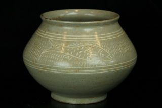 Jun165 Korean Goryeo Celadon Porcelain Pot Jar Vessel White Inlay Fish Design