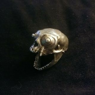 Axel Stocks RARE monkey skull ring 3