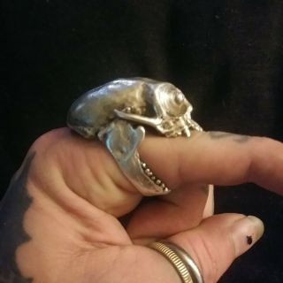 Axel Stocks RARE monkey skull ring 5