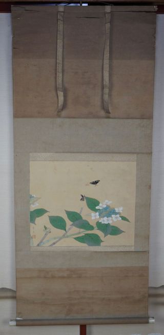 Japan Ajisai Butterfly Floral Painted On Silk 1900s Japanese Art Craft Kakejiku