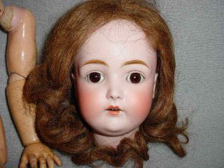 Antique Kestner 171 Bisque Head Doll As Found