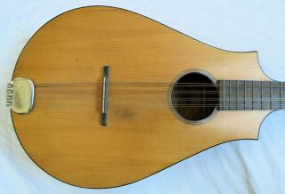 Regal Instruments Octofone Mandolin Old Vtg Antique 4