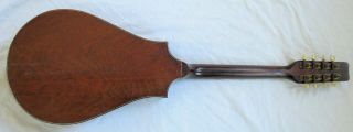 Regal Instruments Octofone Mandolin Old Vtg Antique 6