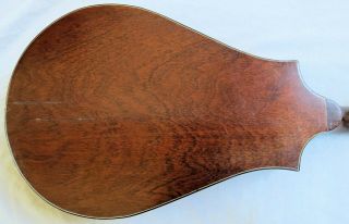 Regal Instruments Octofone Mandolin Old Vtg Antique 8