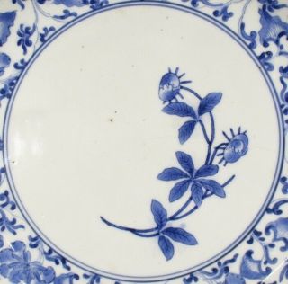 G541: RARE,  really old Japanese plate of fine KO - IMARI porcelain called AI - KAKI 2