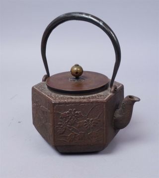 Antique Meiji Japan Cast Iron Bronze Bamboo Floral Tetsubin Handled Teapot