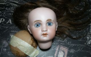 Stunning Antique Jumeau 1907 French Bisque Doll Head & Human Hair Wig Hairlines
