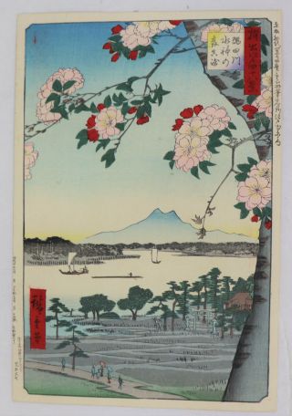 Cherry Blosso Japanese Woodblock Print Hiroshige 48 Views Of Edo (1892)