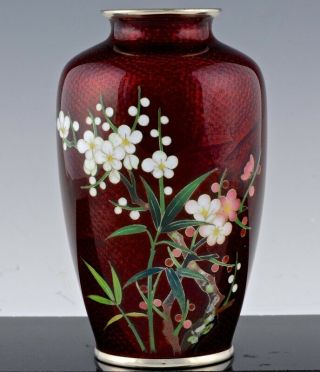 C1920 Japanese Red Ginbari Bamboo Prunus Landscape Cloisonne Enamel Vase