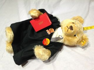 Vintage Steiff Teddy Bear W/ Og $249 Tag Pin Teacher Scholar Professor