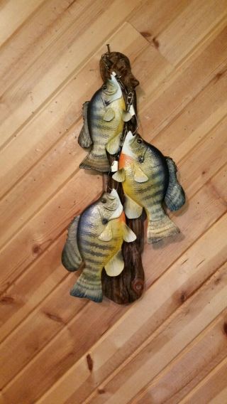 Trophy Bluegill Stringer Wood Carving Fish Taxidermy Fishing Lure Casey Edwards