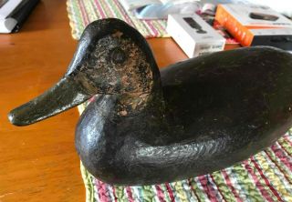 Vintage Doug Jester Carved Black Duck Decoy Chincoteague Island Virginia